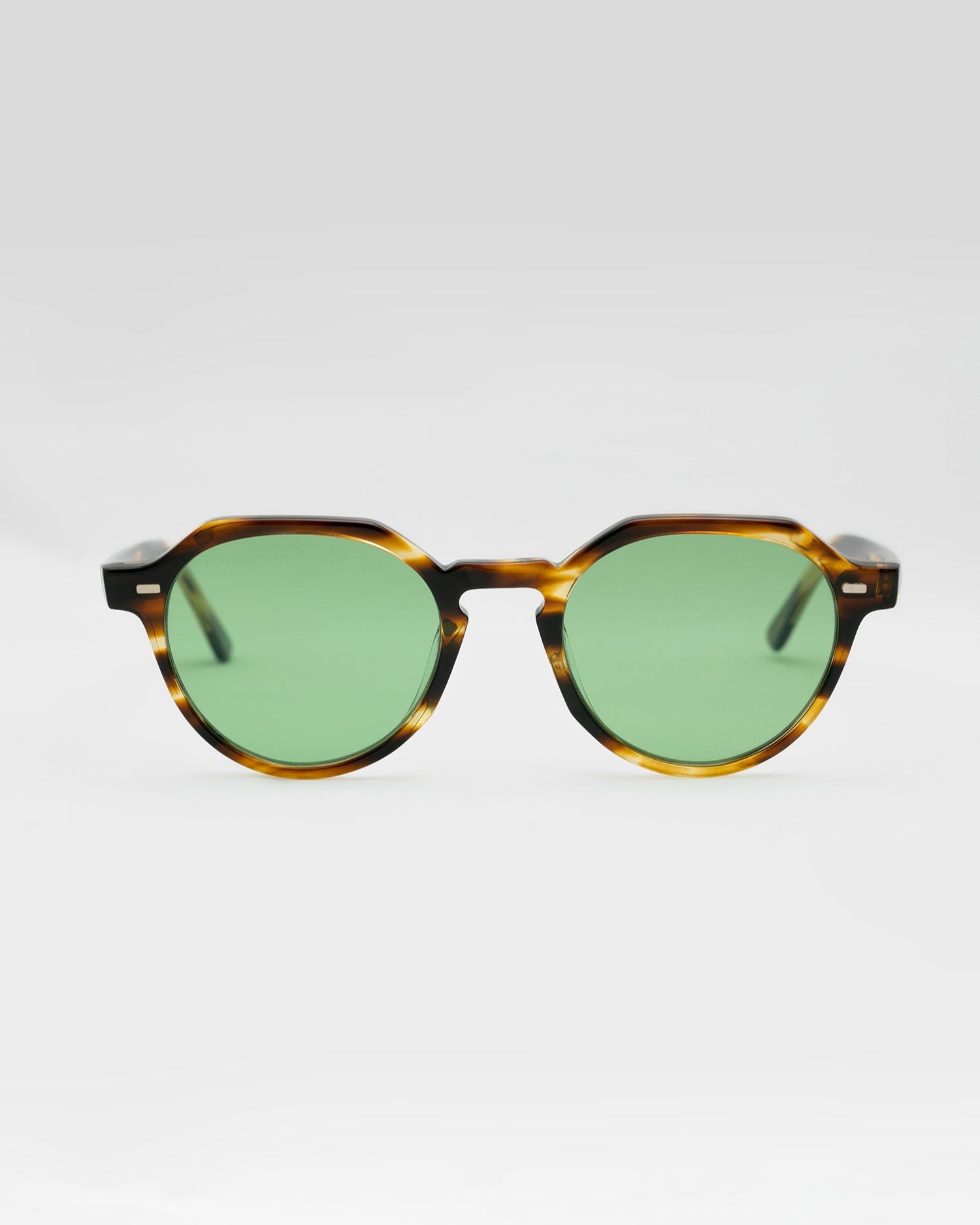 SUNGLASSES/GLASSES/WOMEN/MEN/UNISEX/ZION/TORTOISE/ACETATE/FRAME/FRONT |TORTOISE