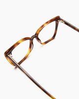 OPTICAL-WOMEN-MEN-UNISEX-PARIS-TORTOISE-TEMPLE