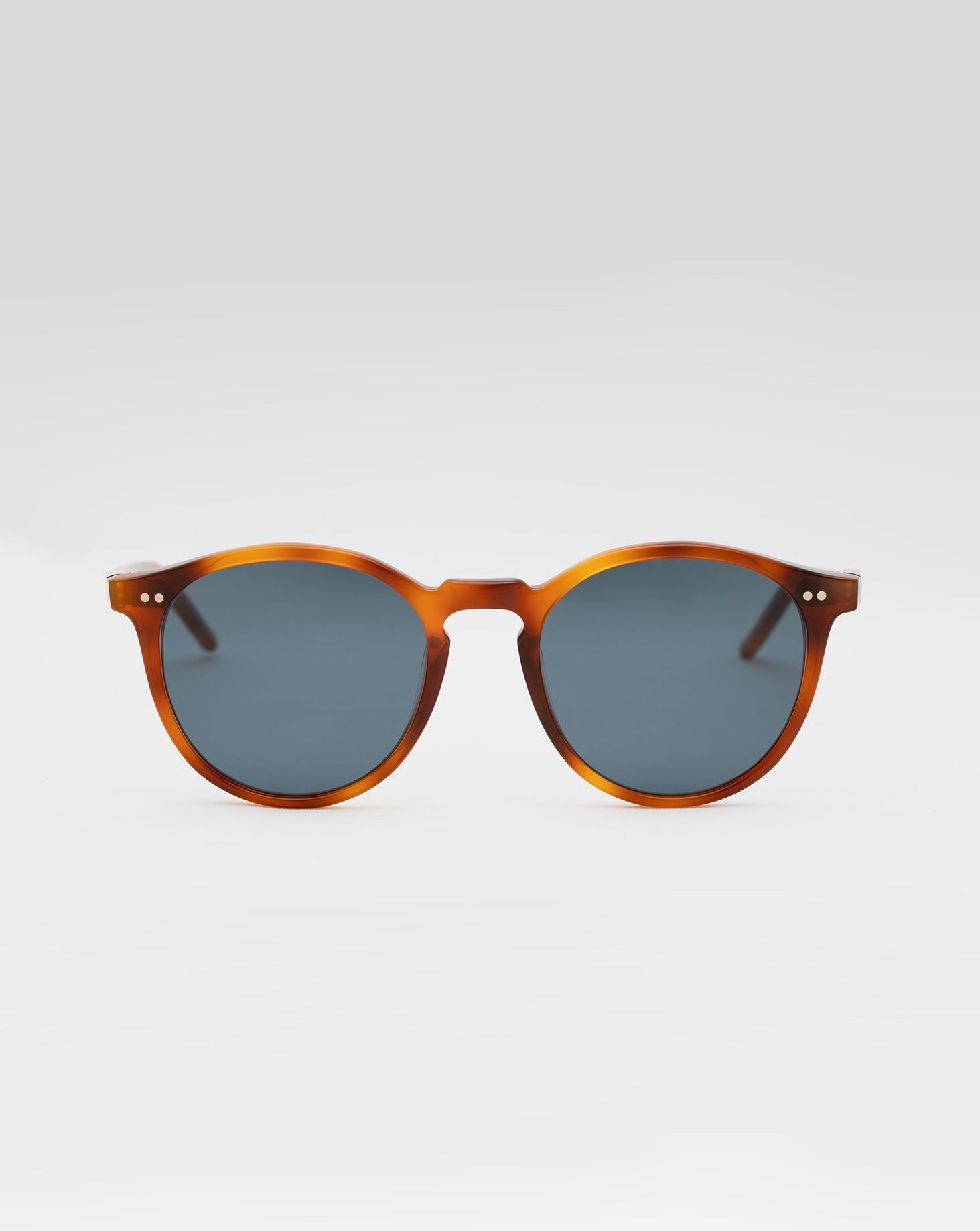 SUNGLASSES/GLASSES/WOMEN/MEN/UNISEX/PALMER/HAVANA/ACETATE |HAVANA