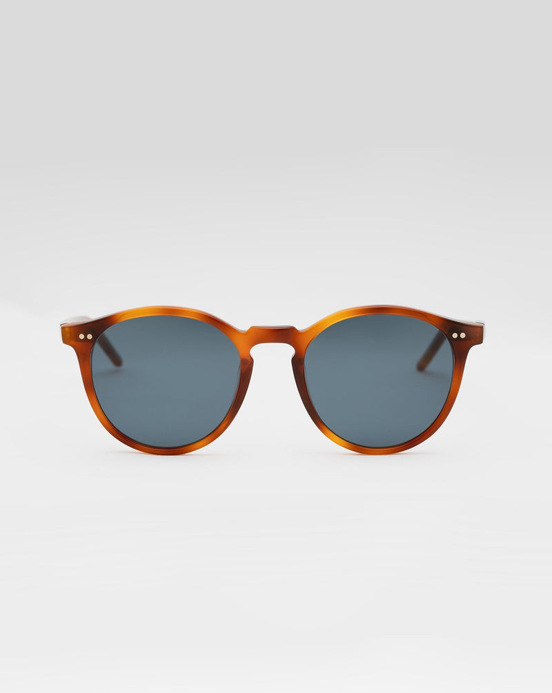 SUNGLASSES/GLASSES/WOMEN/MEN/UNISEX/PALMER/HAVANA/ACETATE