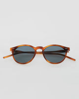 SUNGLASSES/GLASSES/WOMEN/MEN/UNISEX/PALMER/HAVANA/ACETATE