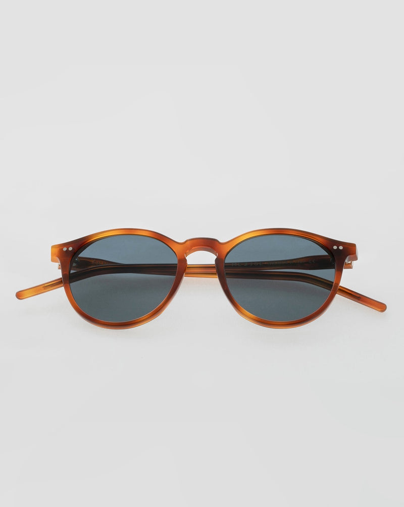 SUNGLASSES/GLASSES/WOMEN/MEN/UNISEX/PALMER/HAVANA/ACETATE