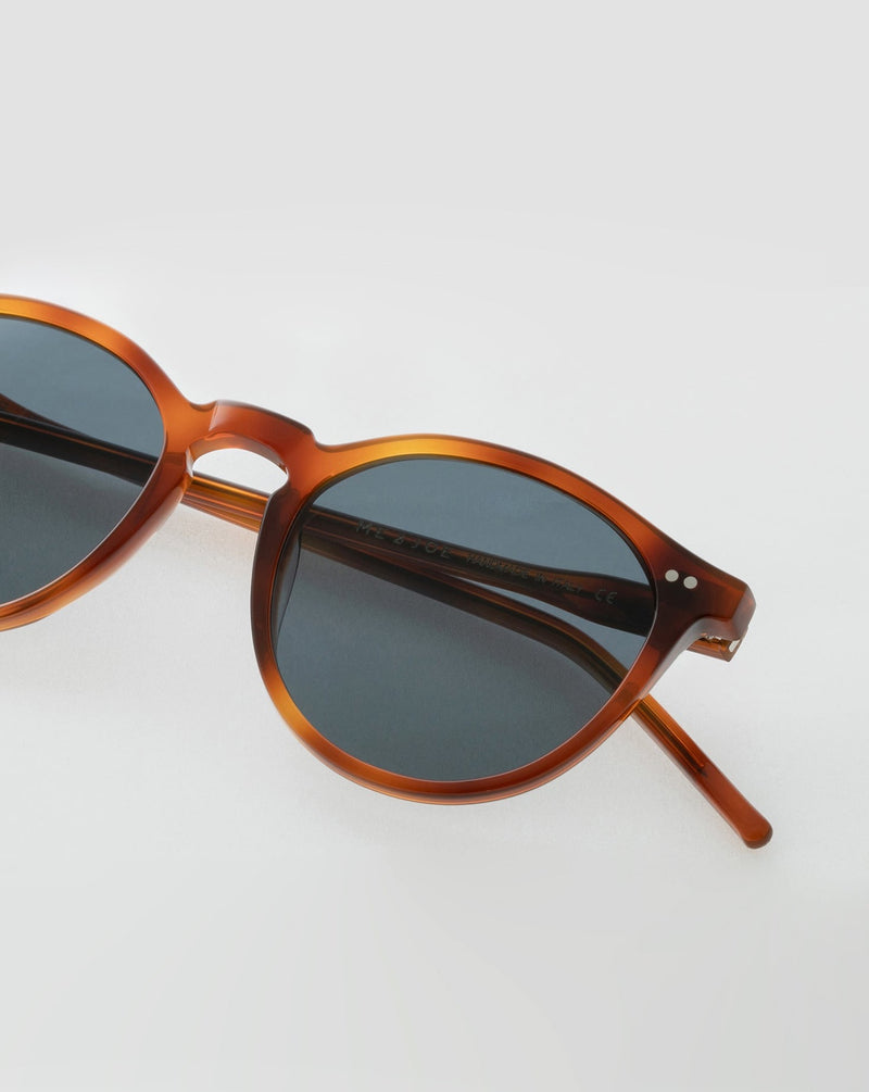 SUNGLASSES/GLASSES/WOMEN/MEN/UNISEX/PALMER/HAVANA/ACETATE/DETAIL